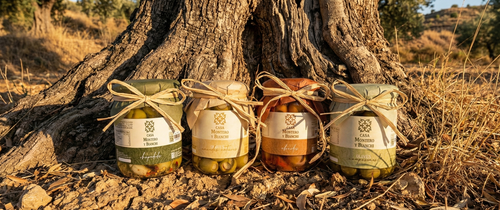 Lot des 4 pots d'Olive au pied de l'olivier-Casa Montero y Bianchi