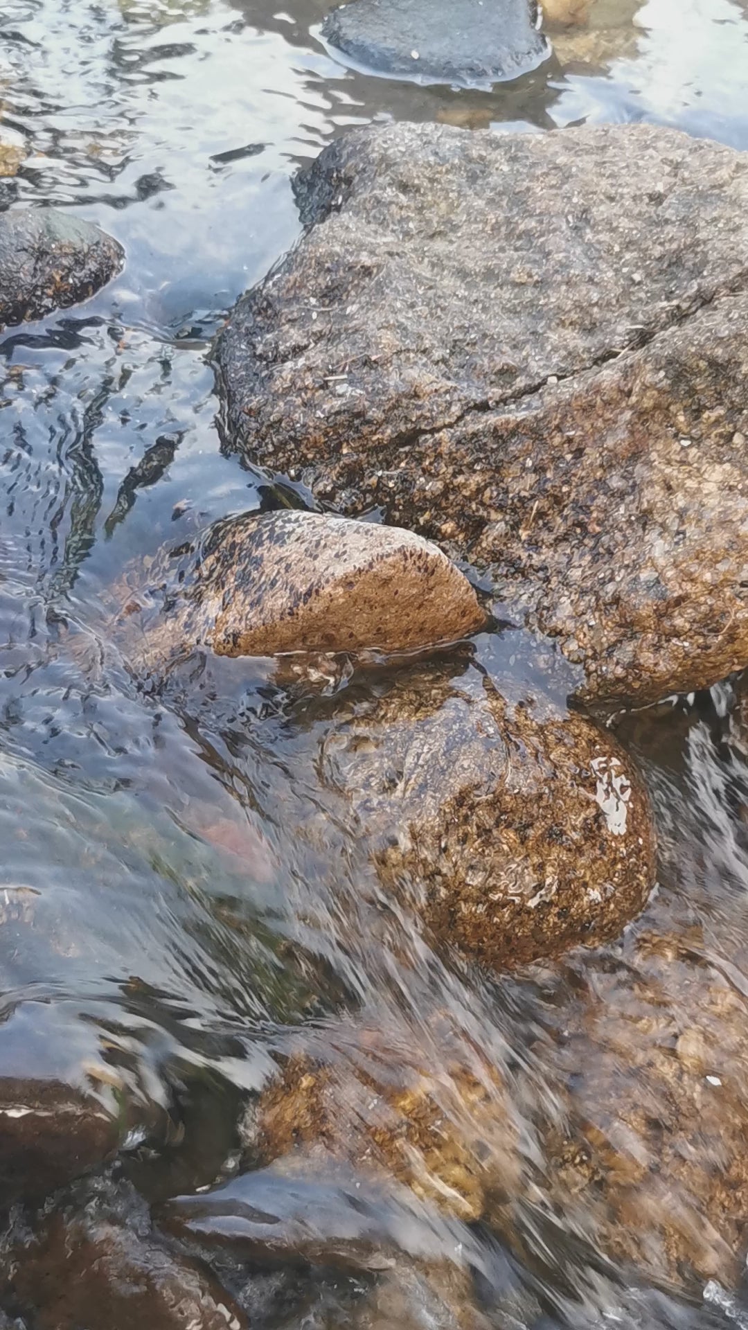 Rivière del puente viejo- Sierra de Gata